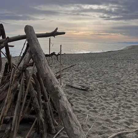 Cocon Sur Front De 아파트 르발카레스