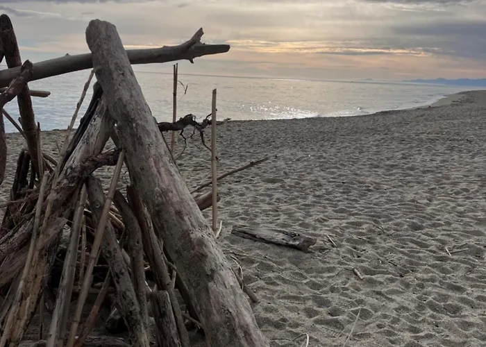 Cocon Sur Front De Апартаменты Ле Баркарес